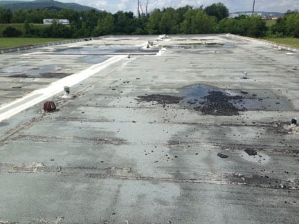 photo2a | My Pulse News photo 2 a