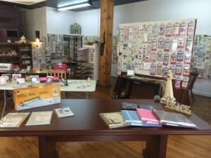 thestore | My Pulse News the store