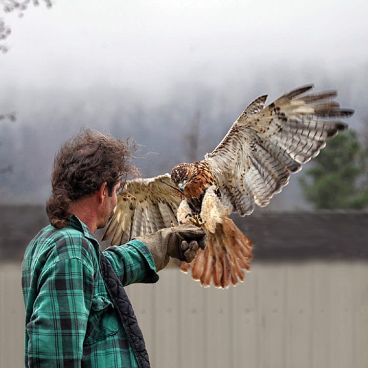 TommyandRaptor1 | My Pulse News Tommy and Raptor 1