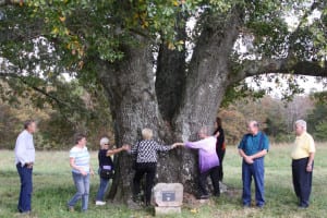 RMCC's Double-Nickel Club hug the tree to show its enormity.