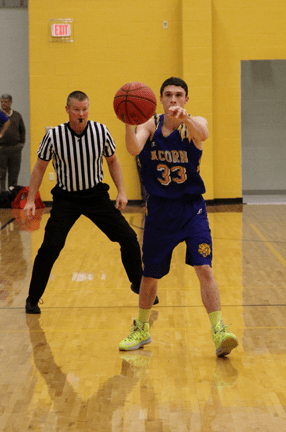 birdinstory | My Pulse News bird in story