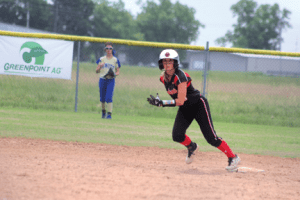 LadycatSoftball1cmyk | My Pulse News Ladycat Softball 1 cmyk