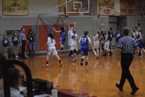 LadyTigersRegionals1 | My Pulse News