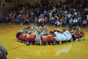 LadyTigersRegionals5 | My Pulse News