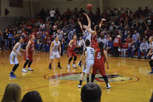 LadyTigersRegionals6 | My Pulse News