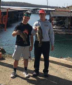 GravesJohnstonweb | My Pulse News