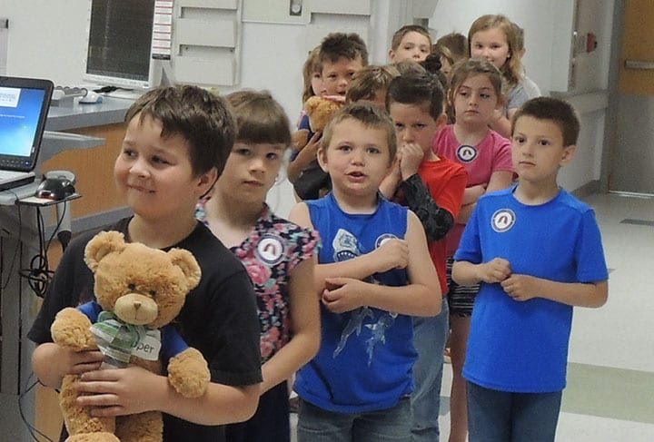 Teddy Bear web 1 | My Pulse News