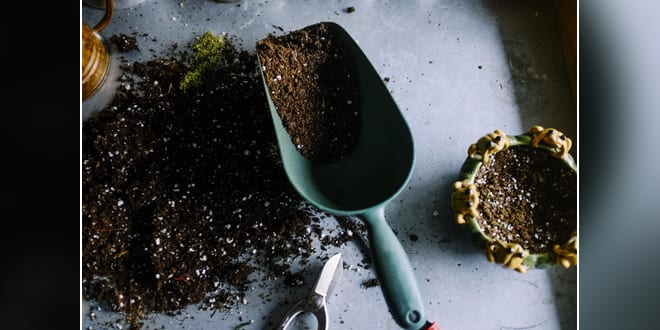 gardening6909401920 copy | My Pulse News