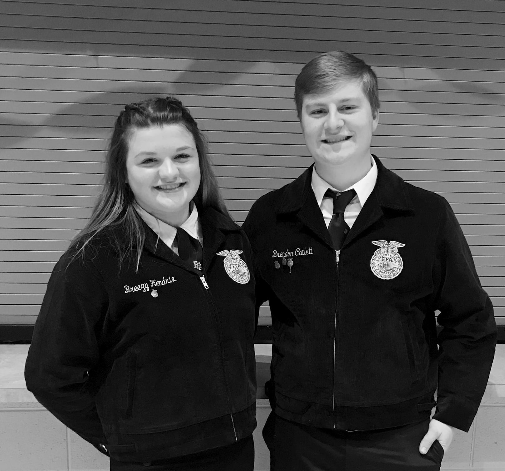 mena ffa 3 gray | My Pulse News