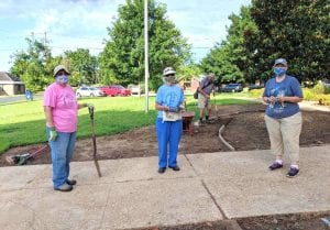 Master Gardeners update courthouse | My Pulse News
