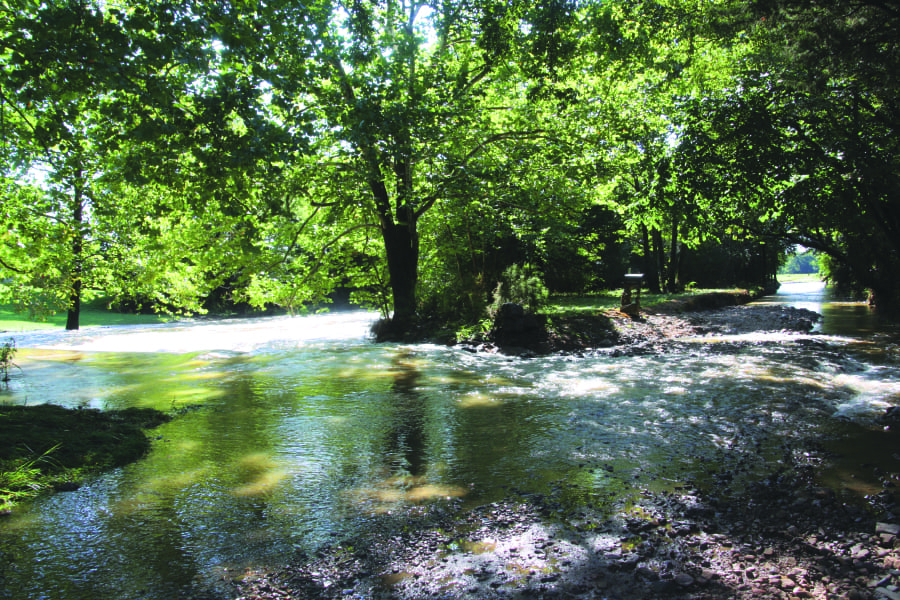 floodWEB | My Pulse News