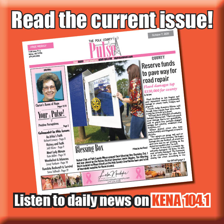 button newletter | My Pulse News