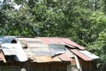StormJuly161 | My Pulse News