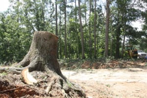 StormJuly162 | My Pulse News
