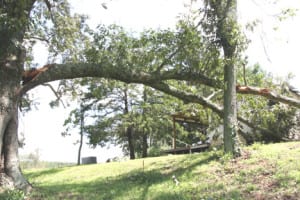 StormJuly164 | My Pulse News
