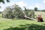 StormJuly165 | My Pulse News
