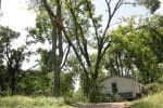 StormJuly168 | My Pulse News