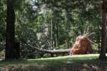 StormJuly169 | My Pulse News