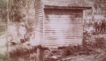 janssenspring1001 | My Pulse News