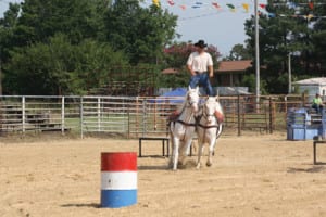 rodeo11cmyk | My Pulse News