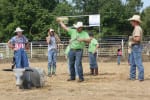 rodeo13cmyk | My Pulse News