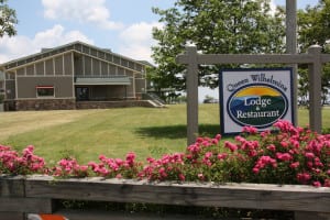 QueenLodge2 | My Pulse News