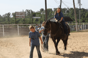 handi12 | My Pulse News