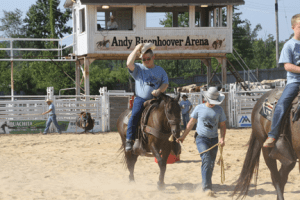 handi2 | My Pulse News