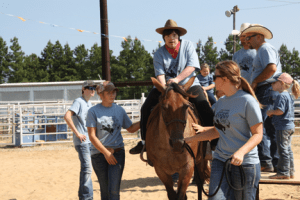 handi3 | My Pulse News