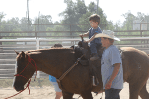 handi5 | My Pulse News