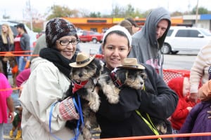 IMG9697 | My Pulse News