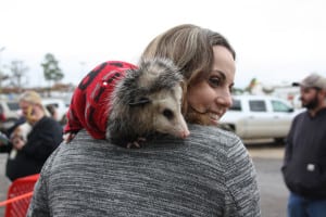 IMG9699 | My Pulse News