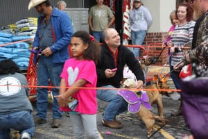 IMG9716 | My Pulse News