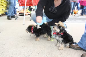 IMG9728 | My Pulse News