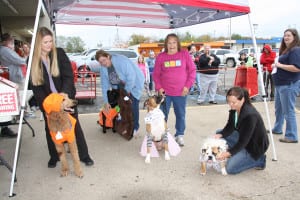 IMG9771 | My Pulse News