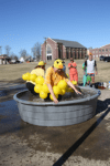 Polarplunge1 | My Pulse News