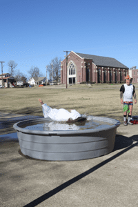 Polarplunge6 | My Pulse News