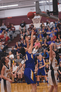 ladytigers1cmyk | My Pulse News