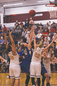 ladytigers7cmyk | My Pulse News