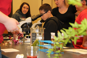 sciencefair2 | My Pulse News