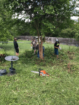loveourtownservice3 | My Pulse News
